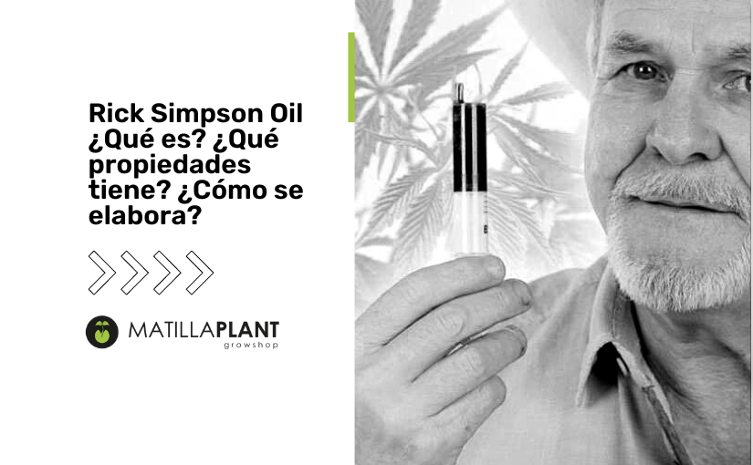 Rick Simpson Oil ¿Qué es? ¿Qué propiedades tiene? ¿Cómo se elabora?