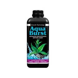 Ionic Aquaburst 1 L