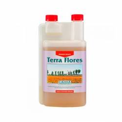 Terra Flores Canna