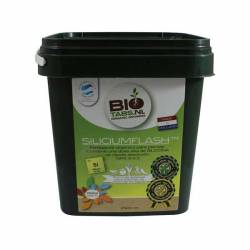 Silicium Flash (2500 Ml) Bio Tabs de Bio Tabs