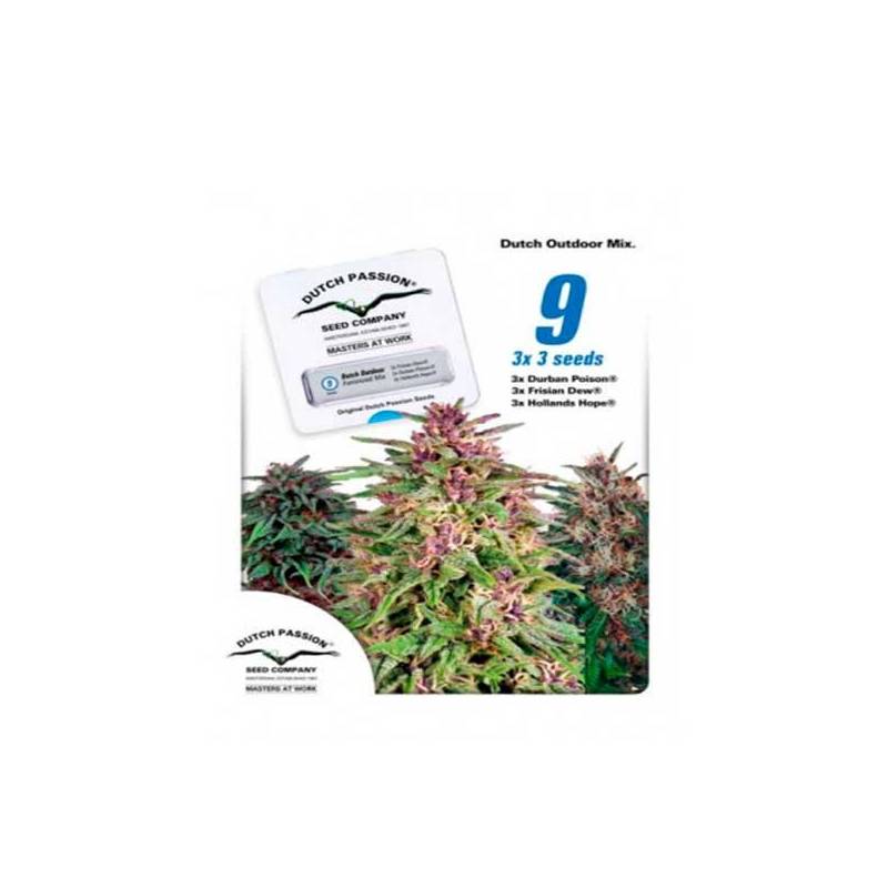 Dutch Outdoor Mix Feminizada - 9 uds fem