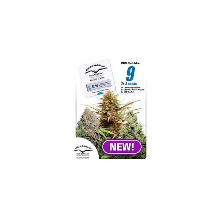 Mix Rich CBD Feminizada de Dutch Passion
