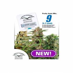 Fruity Mix Autofloreciente Feminizada de Dutch Passion