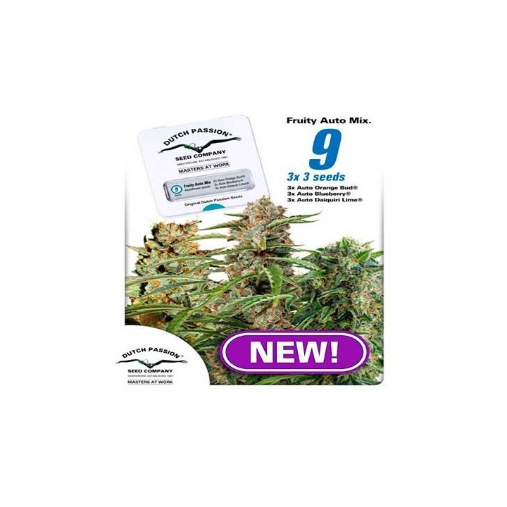 Fruity Mix Autofloreciente Feminizada de Dutch Passion