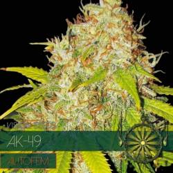 Ak-49 Autofloreciente...