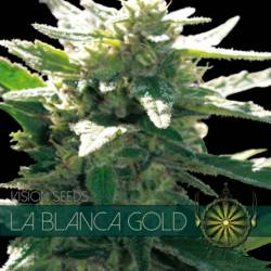 La Blanca Gold Feminizada