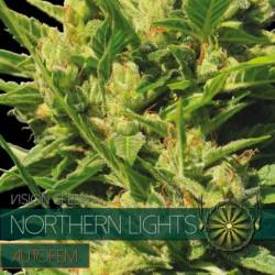 Northern Lights...