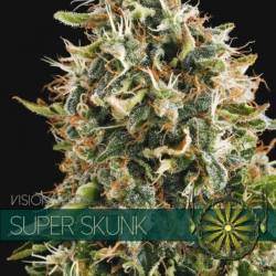 Super Skunk Feminizada