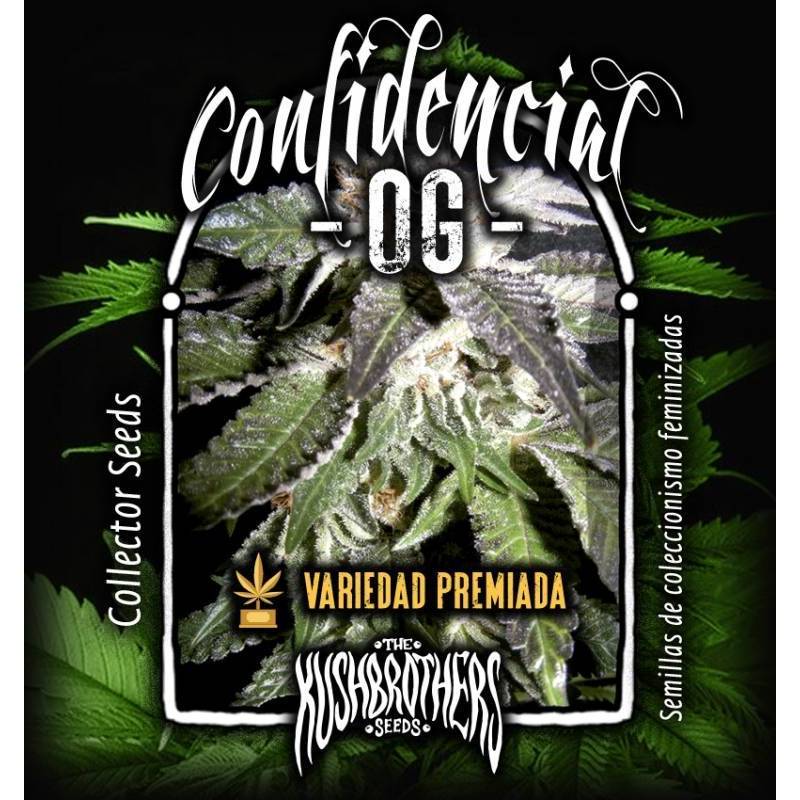 Confidential Og Feminizada de The Kush Brothers Seeds