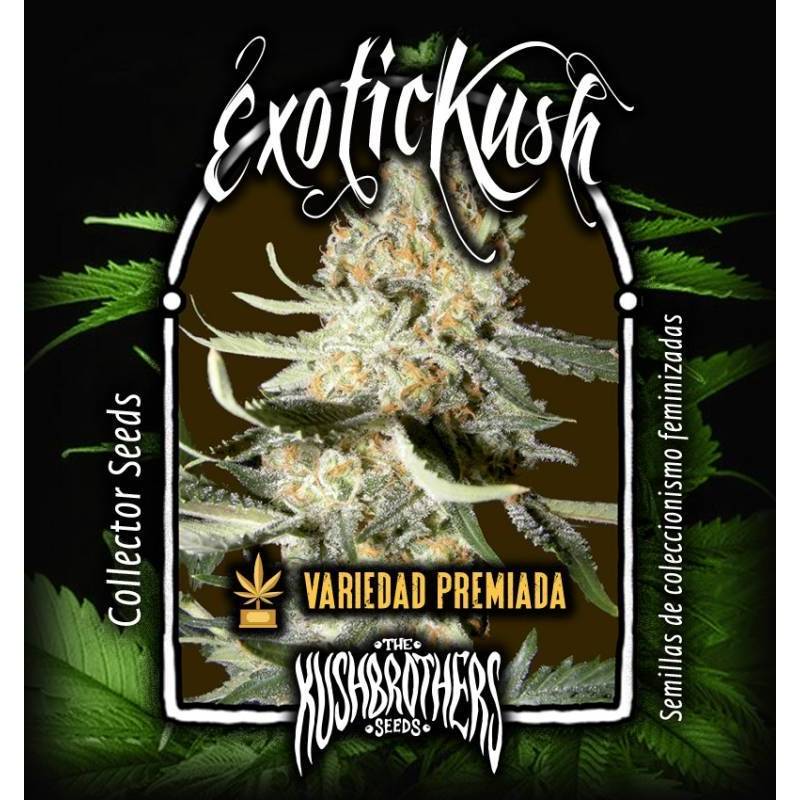 Exotic Kush Feminizada de The Kush Brothers Seeds