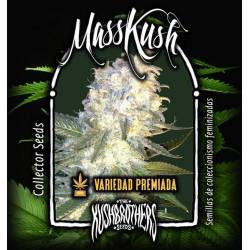 Mass Kush Feminizada de The Kush Brothers Seeds