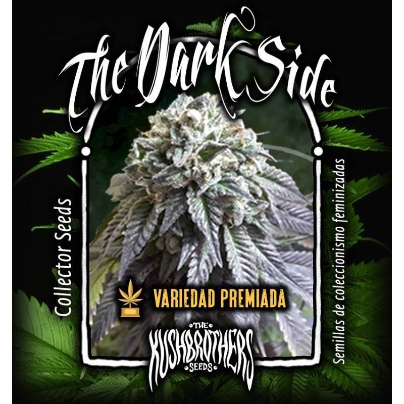 The Dark Side Feminizada de The Kush Brothers Seeds