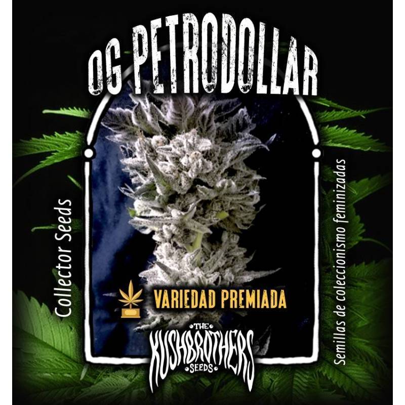 Petro $ Og Feminizada de The Kush Brothers Seeds