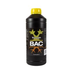Yuccah de B.A.C.
