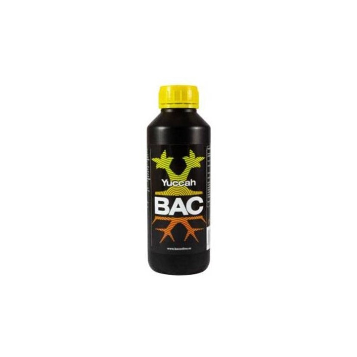 Yuccah de B.A.C.