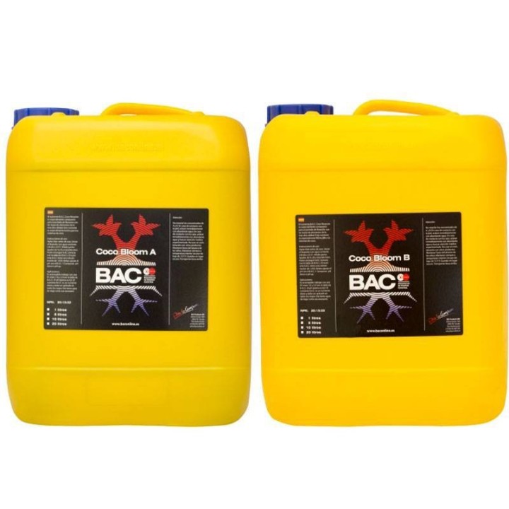 Coco Bloom A&B de B.A.C.