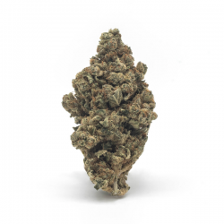 Amnesia CBD (Flores) de The Tree CBD