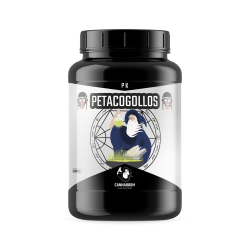 Petacogollos