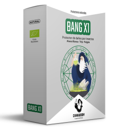 Bang X1 de Cannaboom