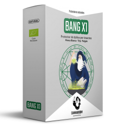 Bang X1 de Cannaboom