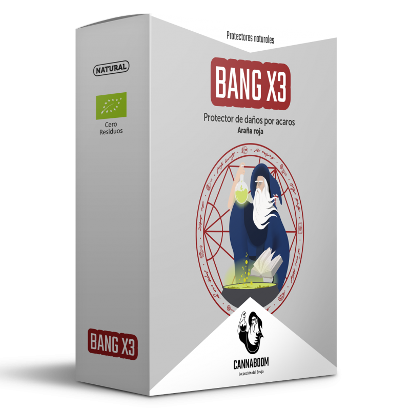 Bang-X3 de Cannaboom