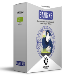 Bang X5 de Cannaboom