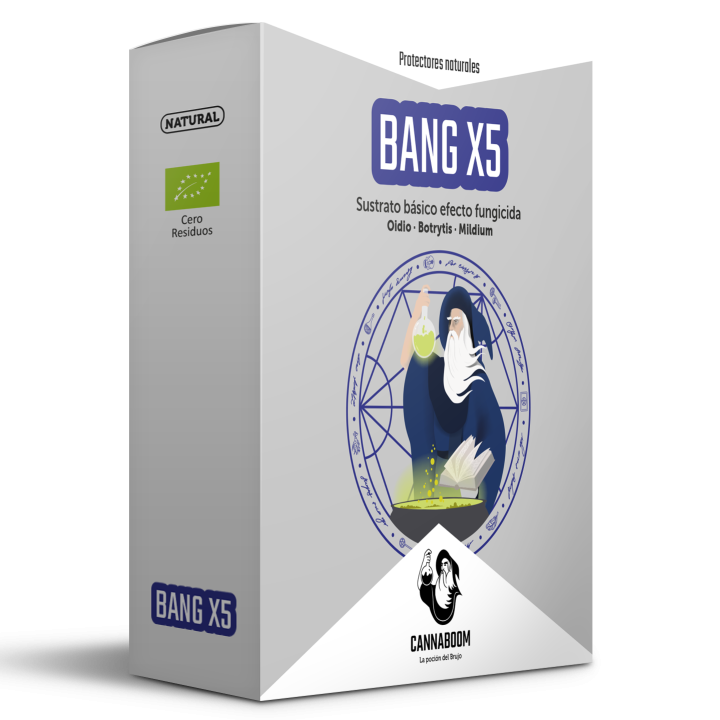Bang X5 de Cannaboom
