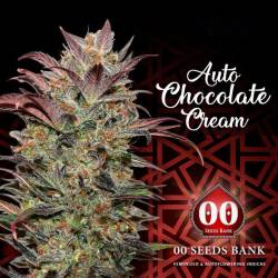 Chocolate Cream Autofloreciente Feminizada de 00 Seeds