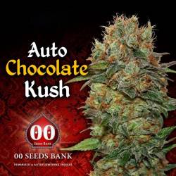Chocolate Kush Autofloreciente Feminizada de 00 Seeds