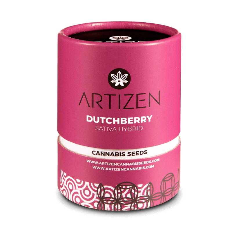 Dutchberry Feminizada de Artizen