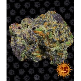 Runtz Muffin Feminizada de Barney's Farm