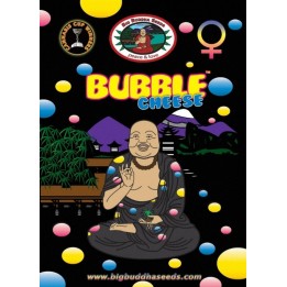 Double Cheese de Big Buddha Seeds