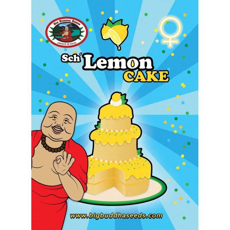 Lemon Cake Feminizada de Big Buddha Seeds