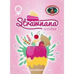 Strawnana Sundae Feminizadas