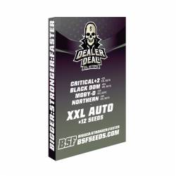 Dealer Deal Xxl Automix