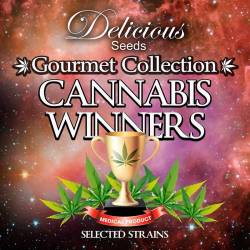 Cannabis Winners 1 (Colecciones) de Delicious