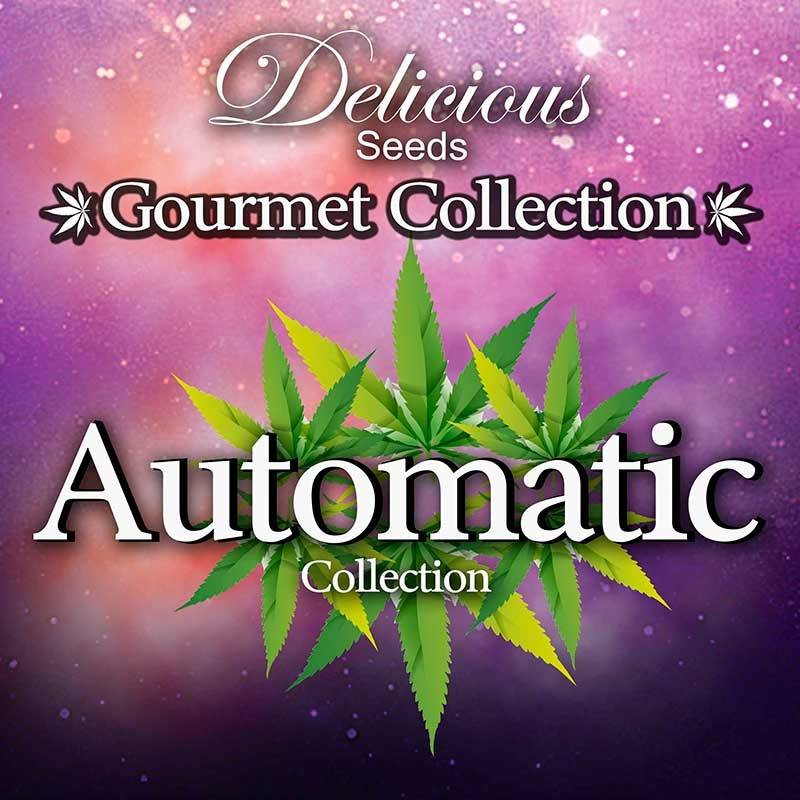 Gourmet Auto # 1 (Colecciones) de Delicious