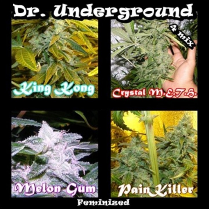 Surprise Killer Mix de Dr Underground