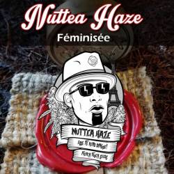 Nuttea Haze Feminizada