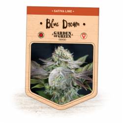 Blue Dream