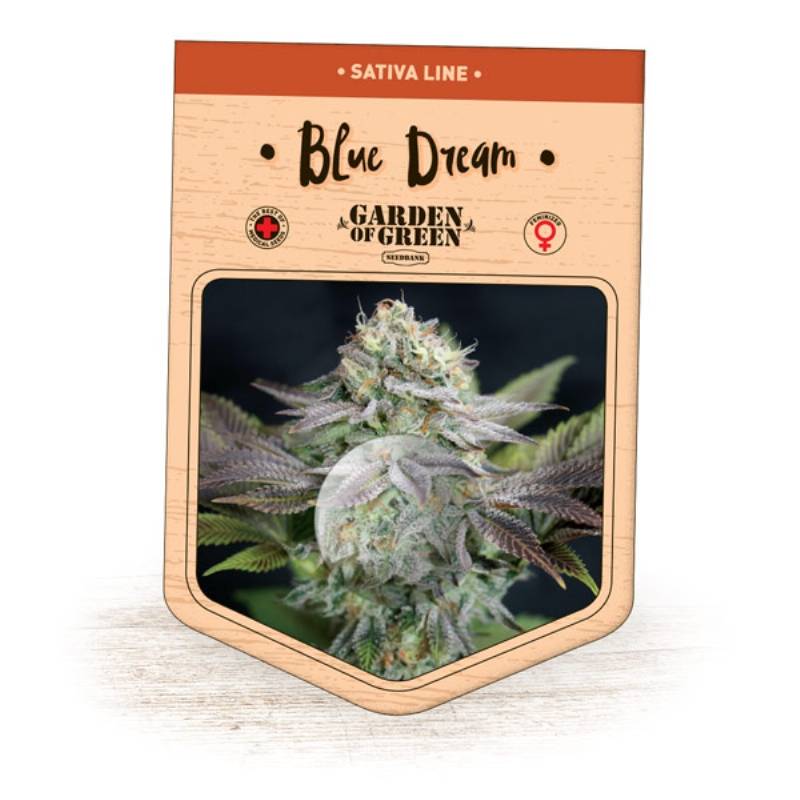 Blue Dream de Garden of Green