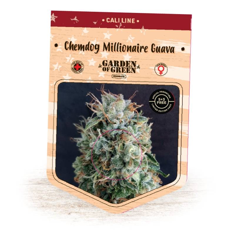 Chemdog Millionaire Guava de Garden of Green