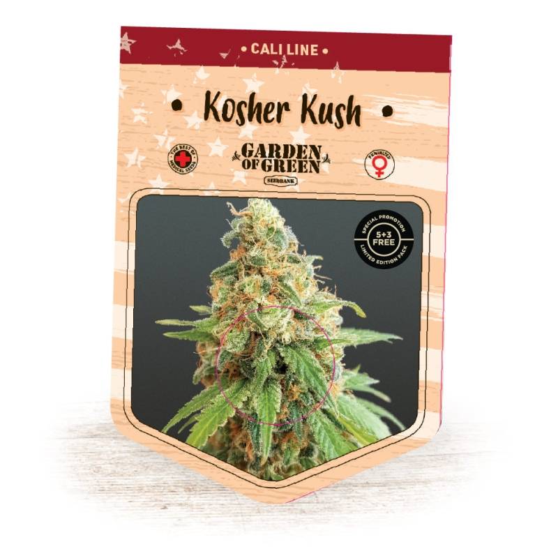 Kosher Kush de Garden of Green