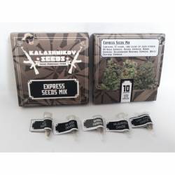 Express Mix Pack de Kalashnikov Seeds