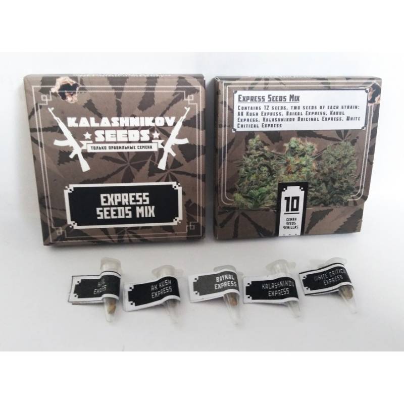 Express Mix Pack de Kalashnikov Seeds