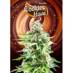 Cookies Haze de Kannabia Seeds