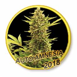 Auto Amnesia