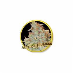 Auto Diesel Mass de Mr. Hide Seeds