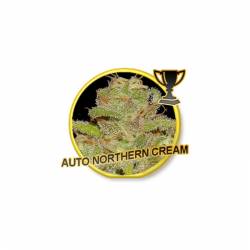 Auto Northern Cream de Mr. Hide Seeds