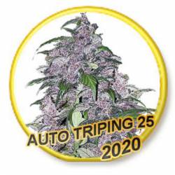 Auto Tripin 25 (Usa Strains)